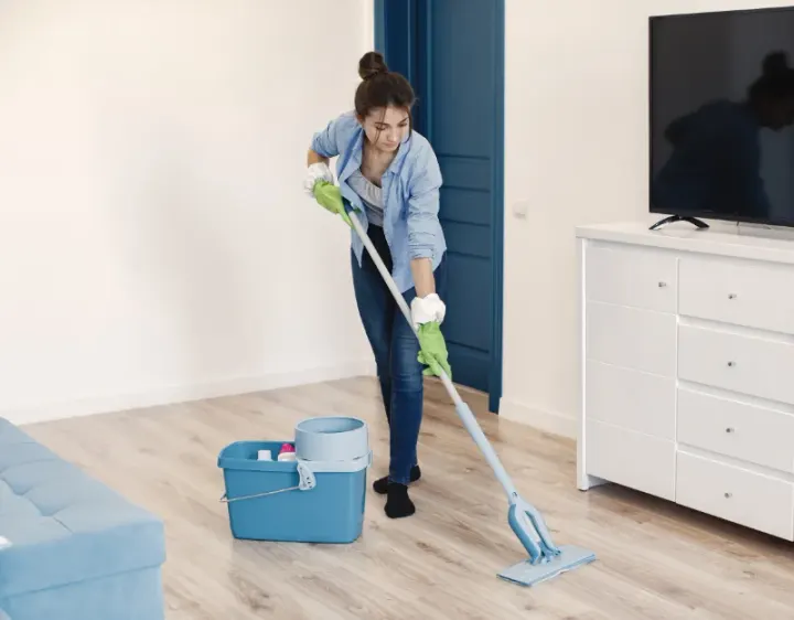 Femme de ménage Magnac-Lavalette-Villars